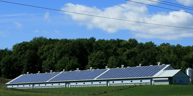 استخدامات الطاقة الشمسية في مجال الزراعة